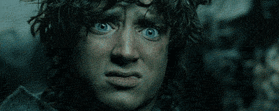 Frodo-Is-Really-Disgusted-Reaction-Gif